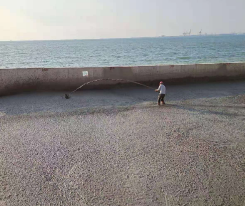 海南?；◢u